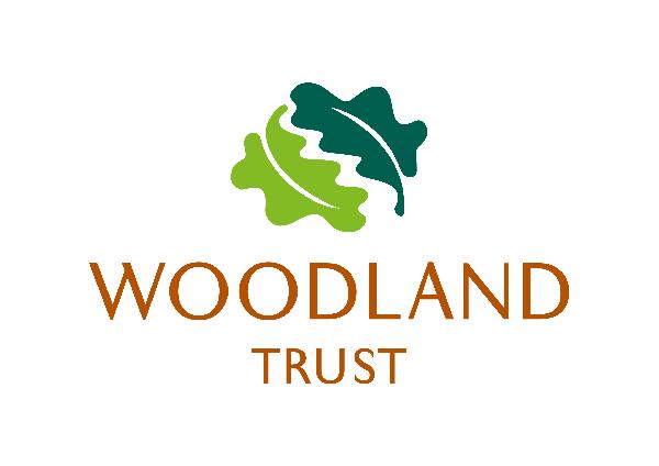 WT Logo