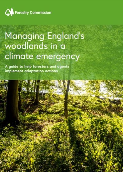 Managing England’s woodlands in a climate emergency - The Tree Council