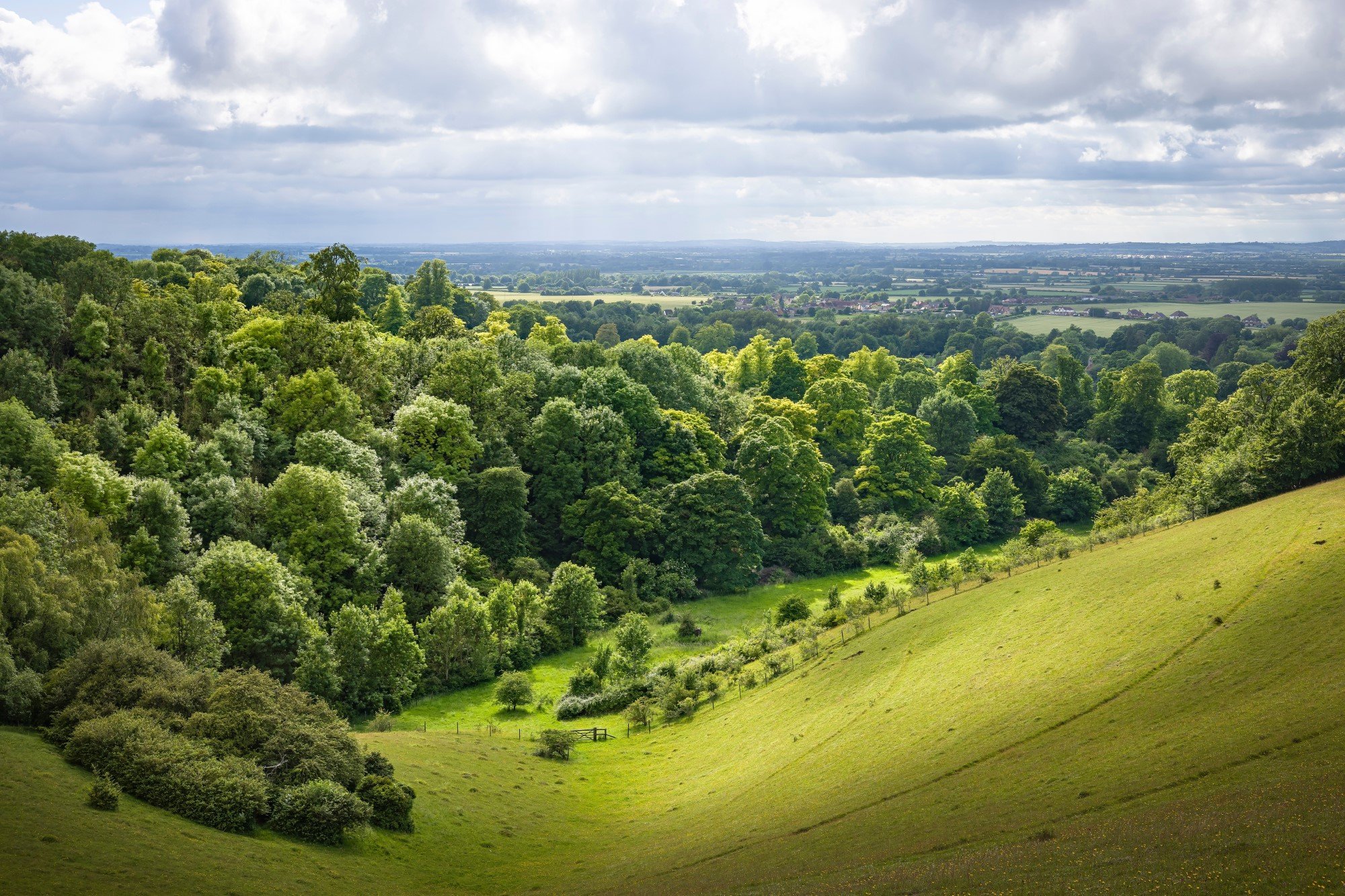 shutterstock_2181600961-small