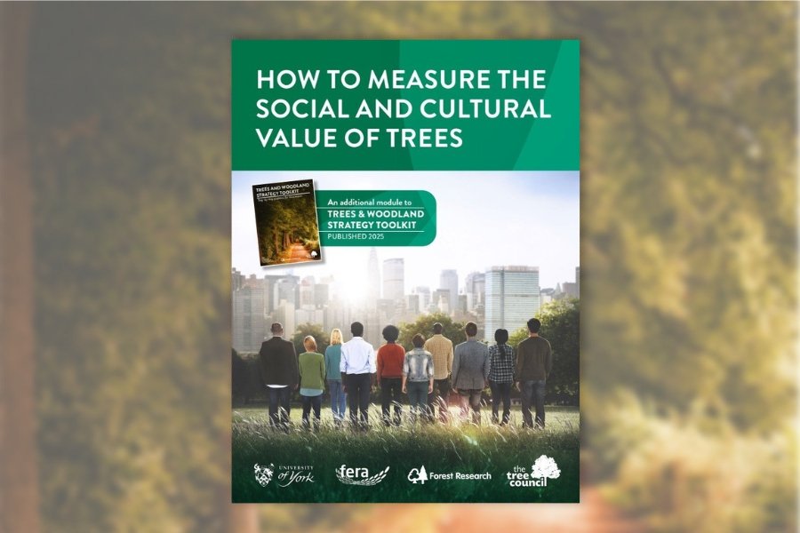 How to measure the social and cultural value of trees (2)