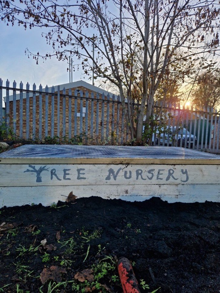 A new raised bed at the tree nursery